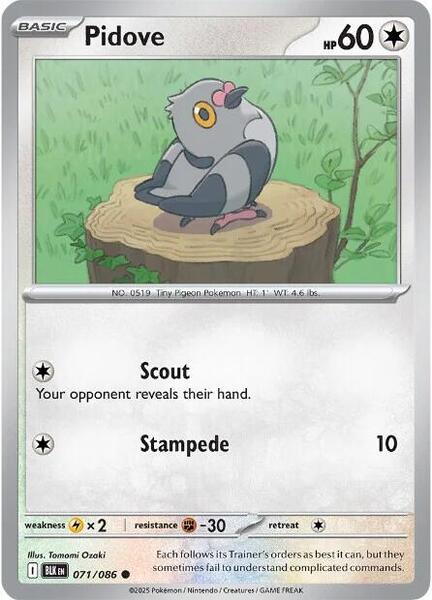 Pidove [SV: Black Bolt] #071/086 - NM