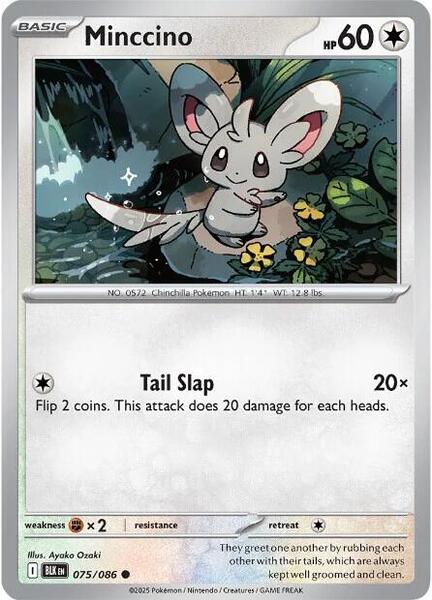 Minccino [SV: Black Bolt] #075/086 - NM
