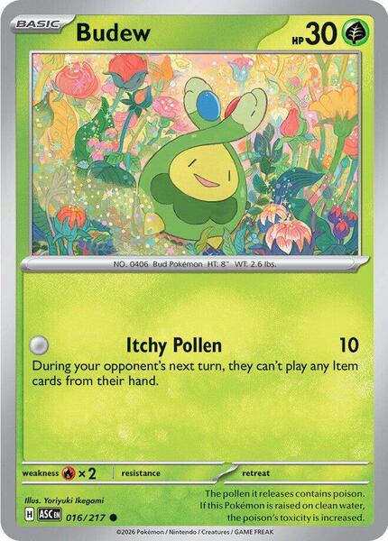 Budew - 016/217 [ME: Ascended Heroes] #016/217 - NM
