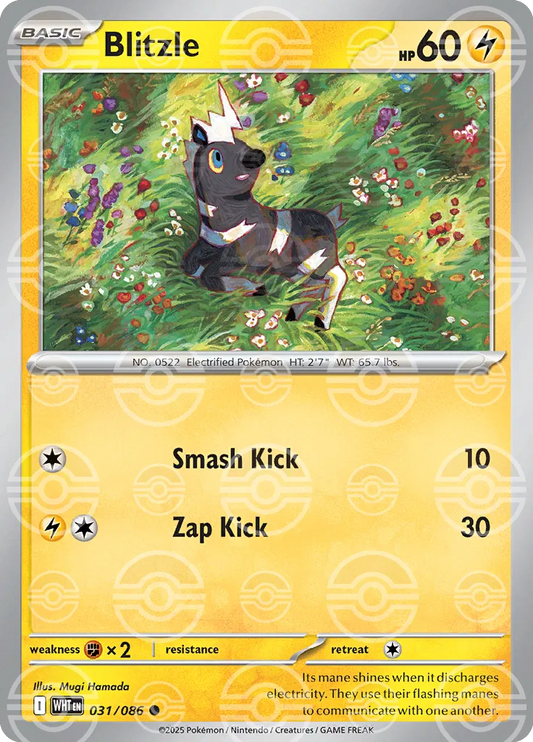 Blitzle (Poke Ball Pattern) [SV: White Flare] #031/086 - NM